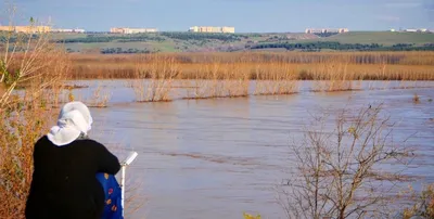 Река Тигр: где находится на карте, фото, длина, притоки, города, исток,  куда впадает, рыба