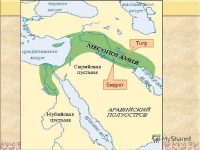 ИРАК РЕКА ТИГР ИЗГОТОВЛЕНИЕ ЛОДКИ | РИА Новости Медиабанк