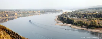 Режим ЧС объявлен в Приамурье из-за паводков на реке Томь