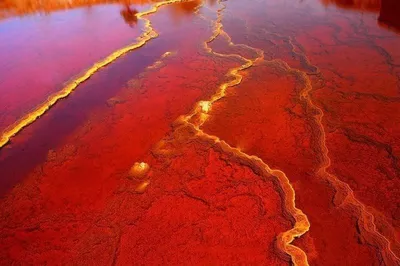 Самая грязная река в мире читарум - фото и картинки: 74 штук