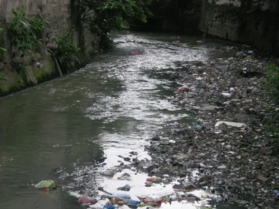 Власти Индонезии пообещали очистить самую грязную реку на планете -  Российская газета
