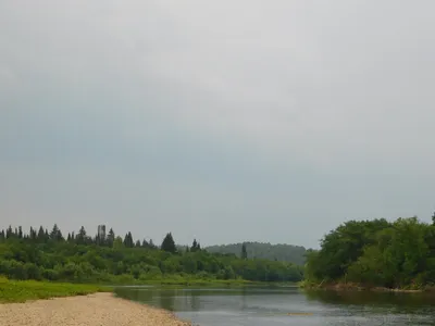 Острова посреди реки: восемь фотографий, как обмела Белая в Уфе - 23 июля  2022 - ufa1.ru