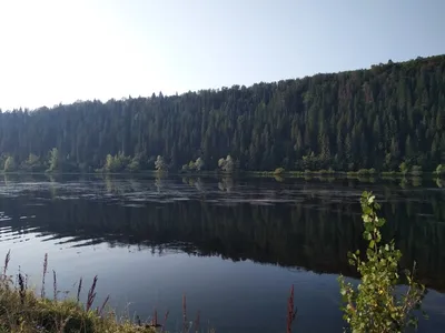 Рыбалка в Челябинской области - Река Уфа