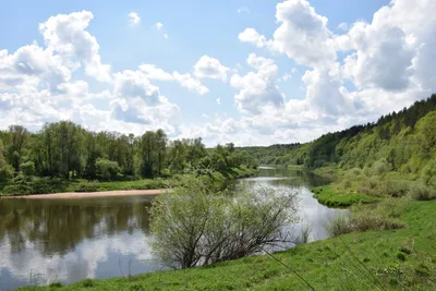 Фотогалерея. В среднем течении реки Угра