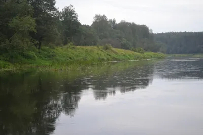 Река Угра от Юхнова до Товарково, 10.06 – 13.06.2022.