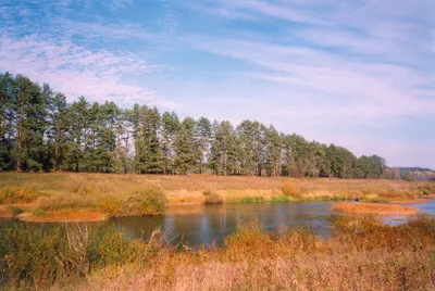 Реки нацпарка «Угра» закрыли на нерест