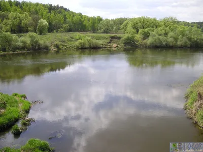 Кемпинг Бельдягино - река Угра