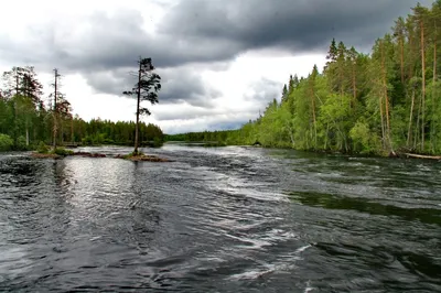 Река Умба в Мурманске - где находится река и озеро | Рыбалка на Умбе