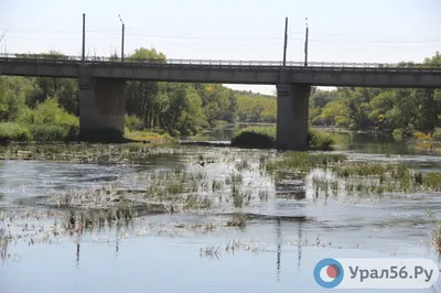 Водно-экологическая экспедиция по реке Урал (с. Нижнеозёрное - с. Илек:  18-21 сентября 2017 года) | Институт степи