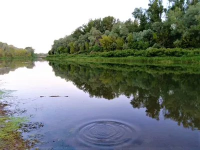 Река Урал может исчезнуть с лица земли