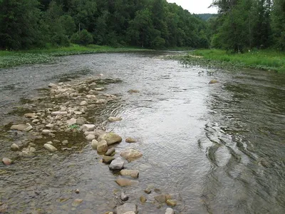 Река урюк фото фото