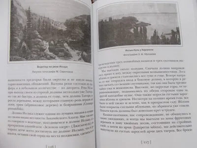 Как правильно называется река в башкирии курага кишмиш урюк сабза?» —  Яндекс Кью