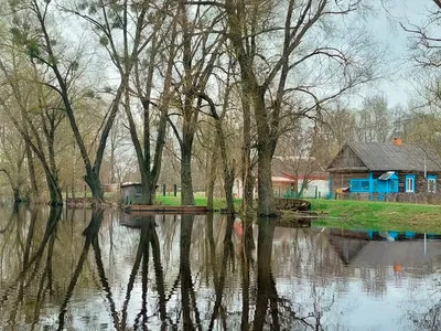 На сапбордах по реке Оредеж 🧭 цена тура 6300 руб., отзывы, расписание  туров по Санкт-Петербургу и Ленинградской области