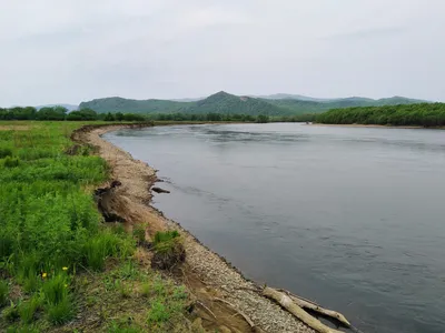 File:Река Уссури у посёлка Горные Ключи фото1.JPG - Wikipedia