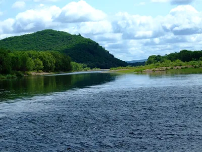 File:Река Уссури у пос Горные Ключи наводнение 2013.jpg - Wikimedia Commons