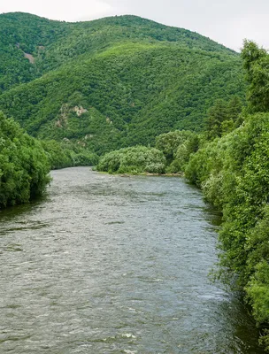 Река Уссури. | lesnik2011 | Дзен