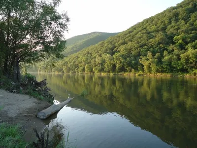 Файл:Река Уссури в Лесозаводске.JPG — Путеводитель Викигид Wikivoyage