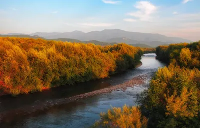 Река Уссури - 95 фото