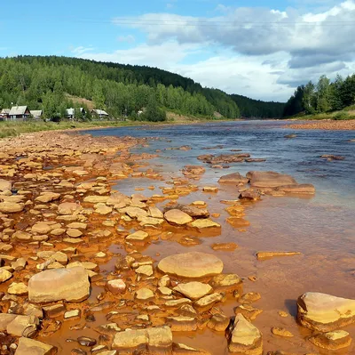 Файл:River Usva. Река Усьва. Пермский край, Россия - panoramio.jpg —  Википедия