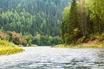 Река Усьва. Фотограф Соколова Елена