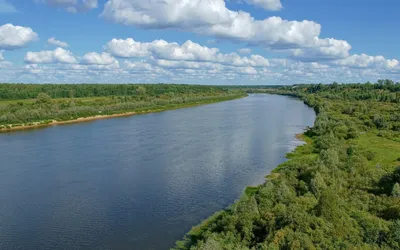 Красота севера Нижегородской области у реки Ветлуга. Бескрайние леса,  уходящие за горизонт | Пикабу