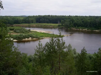 File:Река Ветлуга у урочища Быстри.jpg - Wikimedia Commons