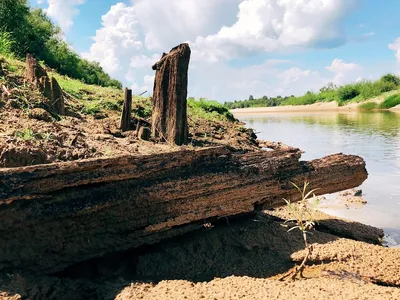 Сплав по реке Ветлуга в мае 2016 года во время разлива на плоту