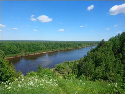 Река Ветлуга - фото и картинки: 64 штук