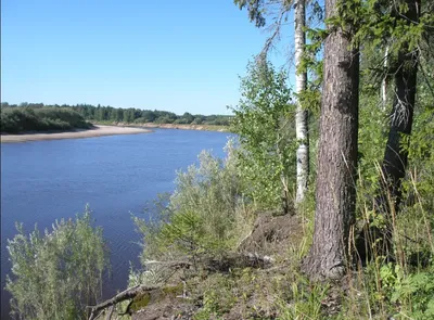 Пески и звёзды Ветлуги: Водный поход по спокойной реке - купить тур по цене  25 000 ₽