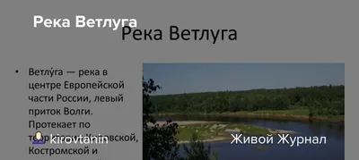 Фотографии реки Ветлуга в стиле арт - уникальное сочетание | Река ветлуга  Фото №1087136 скачать