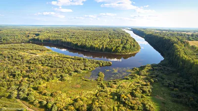 Пески и звёзды Ветлуги: Водный поход по спокойной реке - купить тур по цене  25 000 ₽