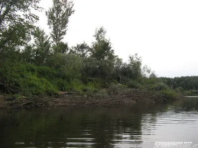 Река Ветлуга в красках... - Турбаза \"Ветлуга\" в д.Трифакино | Facebook