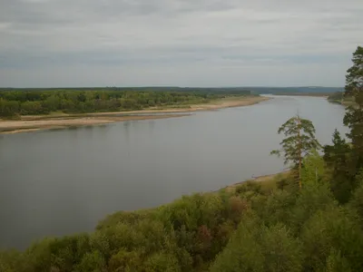 В Вятских Полянах река Вятка поднялась на семь сантиметров - Общество -  Newsler.ru