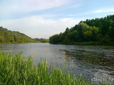 река Вилия. (Фото 16075)
