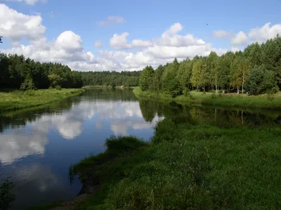 File:Belarus-Junction of Viliya and Narach Rivers-3.jpg - Wikipedia