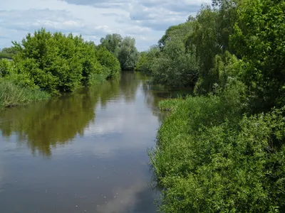 File:Острог. Река Вилия..jpg - Wikimedia Commons