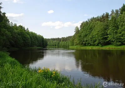 РЕКА ВИЛИЯ - Озера и реки Беларуси