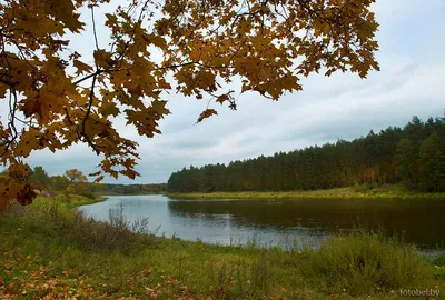 Река Вилия у деревни Завельцы | Островецкий район | Фотопланета