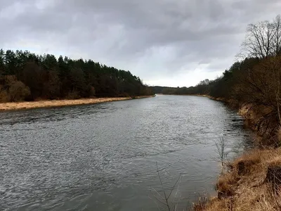 Прошедшее воскресенье. Вилия выше водохранилища | Рыбалка в Беларуси -  Pike.by