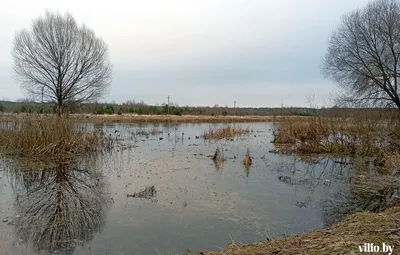 Река Вилия зимой - Vilio - новости Вилейки