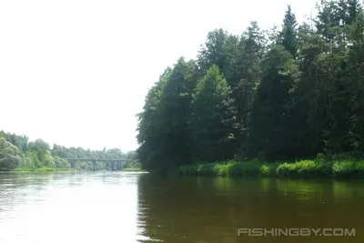 Река Вилия - VILIYA PARK, Минская область | Официальный сайт