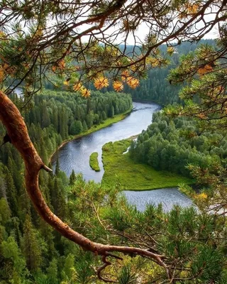 река вишера. уральские горы. россия Стоковое Изображение - изображение  насчитывающей быстро, пуща: 227457633