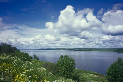 Волга река | Пикабу