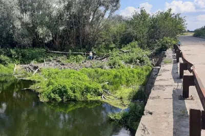 Река Ворона. Большая экспедиция пензенских туристов