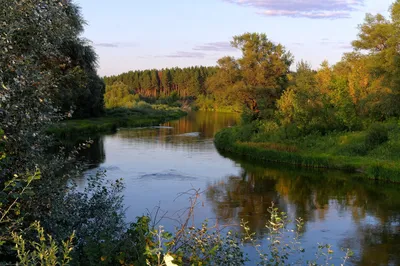 Река Ворона, красивые берега» — создано в Шедевруме