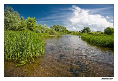 Вода России» - Воронеж