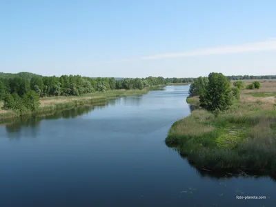 В Воронеже на набережной Максима Горького появится новая зона отдыха у воды