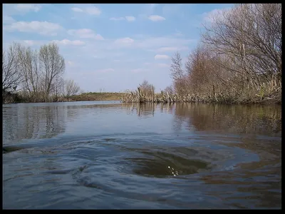 Ледоход на реке Воронеж в самом разгаре. Наконец-то весна — DRIVE2