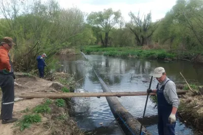 Уровень воды в реке Воронеж в Рамонском районе снизился на 8 см