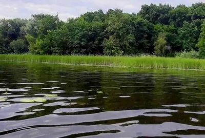 летний пейзаж фото высокого разрешения воронеж река липецкая область  добровский район Стоковое Фото - изображение насчитывающей озеро, пруд:  226499134